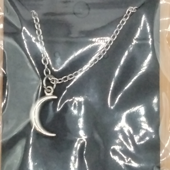 Sliver Moon Necklace - Picture 4 of 5